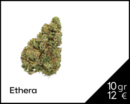 gorilla-bomb-cbd-ethera