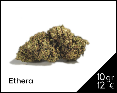 afghan-dream-cbd-ethera