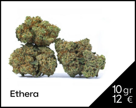 TROPICAL-THUNDER-CBD-ETHERA